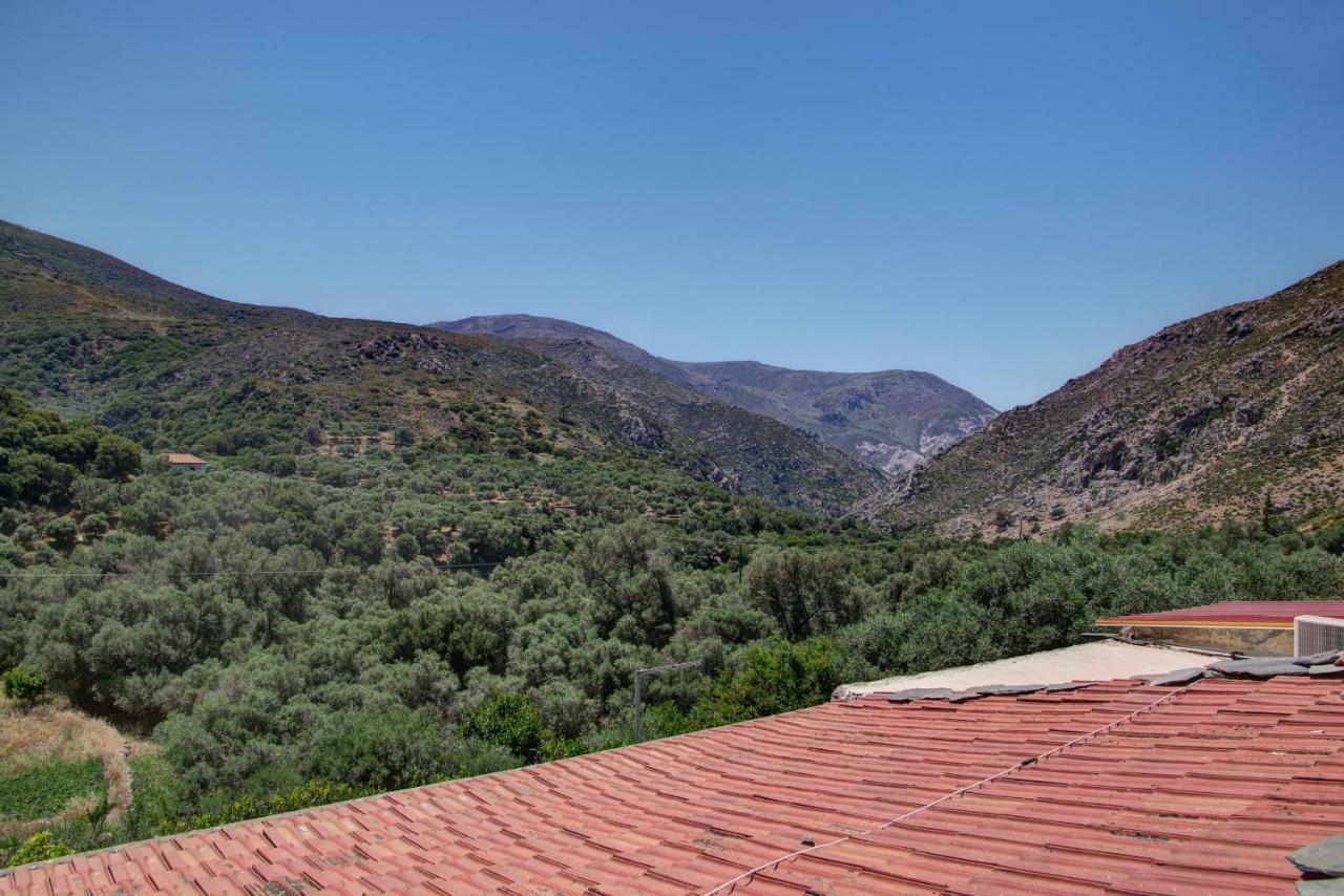 Traditional Cretan Country House Plokamianá 外观 照片